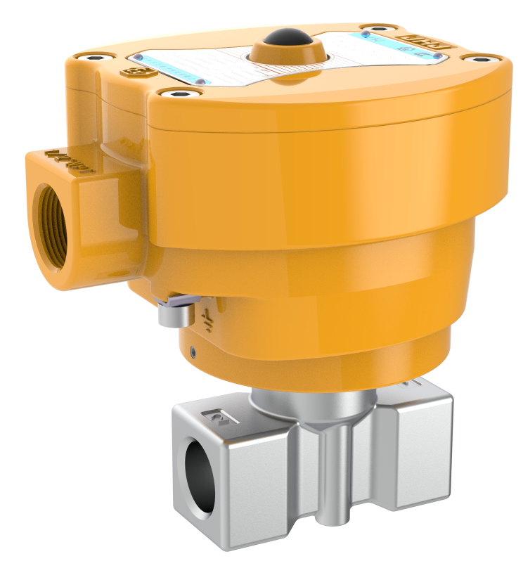 直动式两通DN15电磁阀